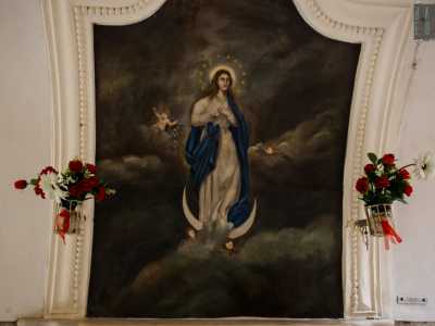 La Madonna � rappresentata in una veste bianca e blu e capelli sciolti, circondata da nubi e putti. Ai suoi piedi c�� una falce di luna, simbolo di purezza, mentre sulla sua testa � posata una corona di stelle: 12 come le trib� di Israele